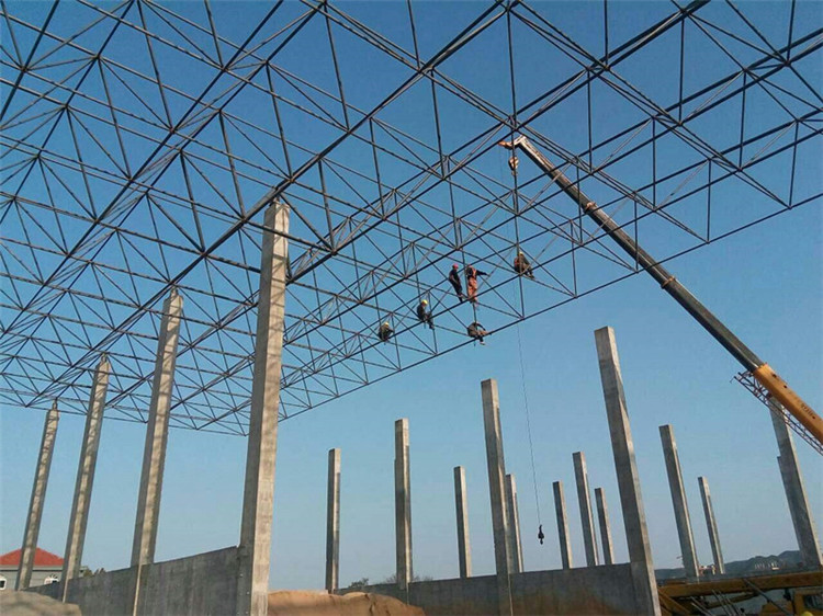 林州加气站钢结构网架案例10